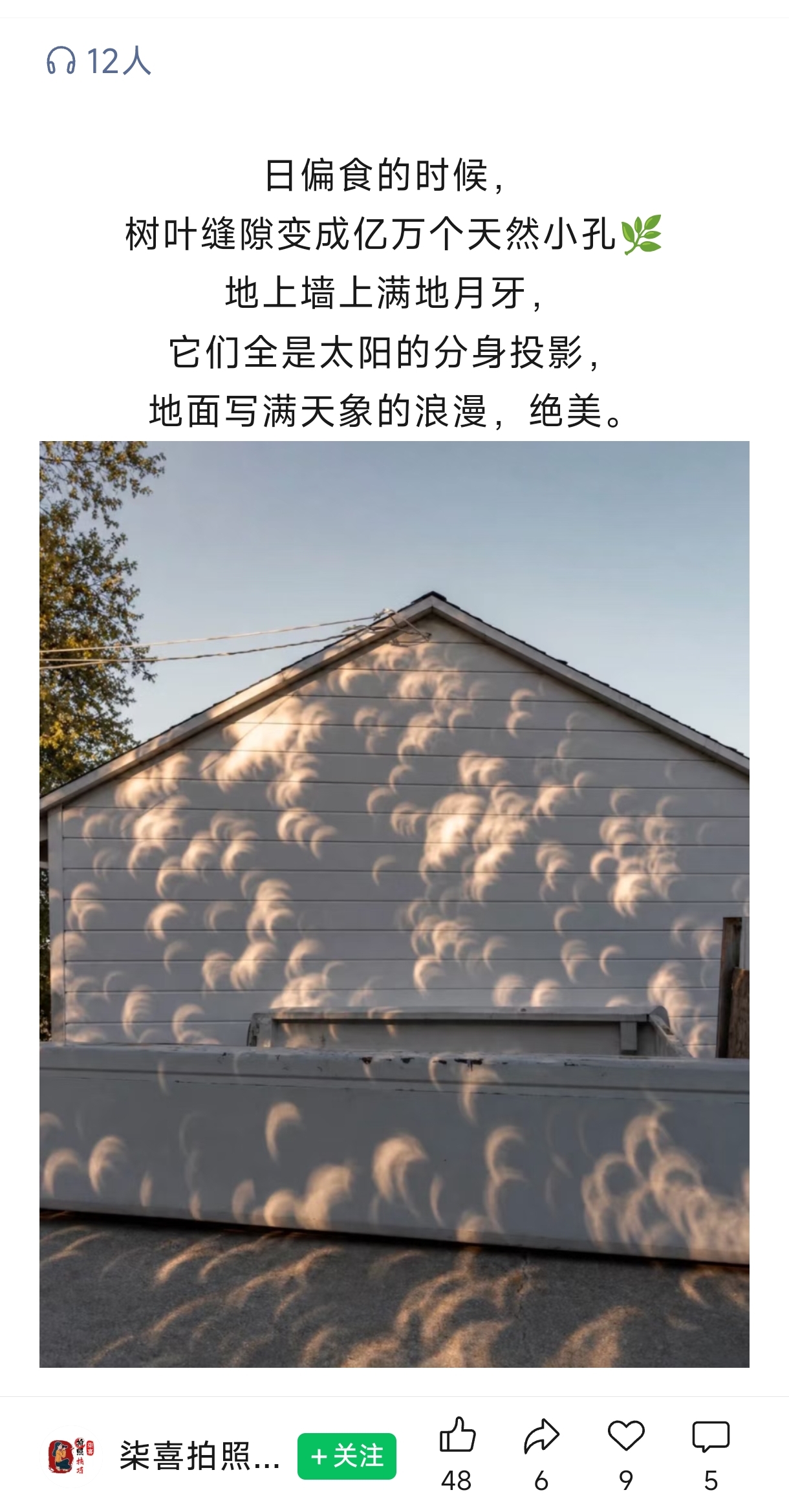 日食时的树影照片